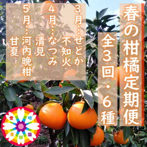 yӂ邳Ɣ[ŁzyŒցzʎut̊kցv(3`5)yG71-33zS3y4069716z