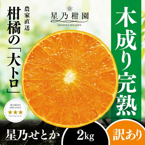 yӂ邳Ɣ[Łzy󂠂zTƂ k̑g(2kg)yC45-92zy1625775z