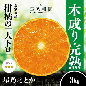 yӂ邳Ɣ[ŁzyOuhzTƂ(3kg)yD45-93zy1625776z