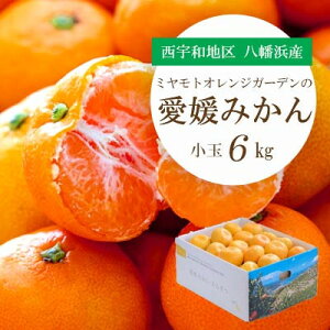 �y�ӂ邳�Ɣ[�Łz�y2025�N11����菇���o�ׁz�������݂�������I!���Q�݂��� ����(3kg/6kg)�y�󂠂�z�yG1248066�z