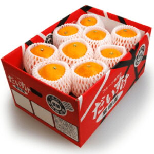 yӂ邳Ɣ[Łzvv̉ʓƂƂ낯!QlYQ܂ǂ5kgypzyG35-12zyzsnFEkCEꌧzy1492216z