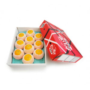 yӂ邳Ɣ[Łzvv̉ʓƂƂ낯!QlYQ܂ǂ3kgypzyD35-11zyzsnFEkCEꌧzy1492228z