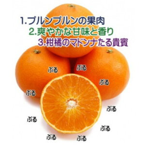 yӂ邳Ɣ[ŁzkẼXC[c!?QlYQ܂ǂ5kgy󂠂zyE35-10zyzsnFEkCEꌧzy1492233z