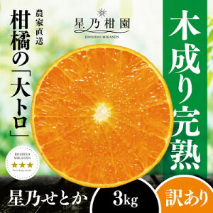 yӂ邳Ɣ[Łzy󂠂zTƂ k̑g(3kg)yC45-87zy1535970z