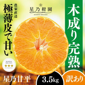 yӂ邳Ɣ[Łzy󂠂zT݂񉀂̊Õ(3kg/3.5kg)yG1535971z