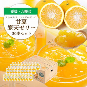 �y�ӂ邳�Ɣ[�Łz�ق�ꂭ�Î_���ς�����₩�Ȗ��킢 ���Q�Y �ÉĊ��V�[���[ (8�{/12�{/30�{)�yG1629478�z