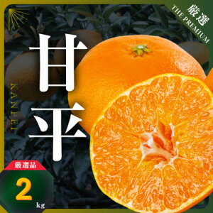 yӂ邳Ɣ[ŁzyQz̊Â!̊ksÕt2kg(M`3Lʍ)yD31-55zy1660047z