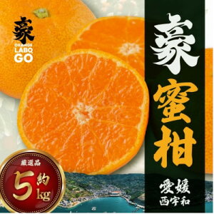 yӂ邳Ɣ[Łz @5kg(S`LTCY)yC88-1zy1660442z