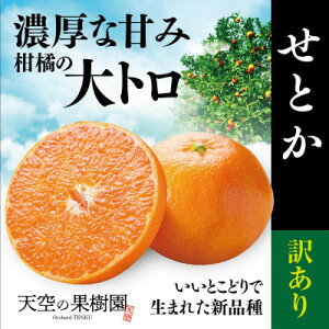 yӂ邳Ɣ[ŁzV̉ʎ͂ 点Ƃy󂠂z (3kg)yC95-3zy1668442z