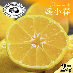 yӂ邳Ɣ[ŁzyʌzVܔ_Ƃɂ߂v~AyQt2kgz QViyC70-99zy1671387z