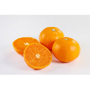 yӂ邳Ɣ[ŁzƂ3kg(Gi)yD21-53zy1678734z