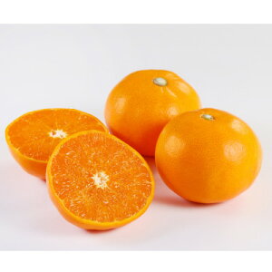 yӂ邳Ɣ[ŁzyƒpzƂ1.5kgyA21-54zy1682655z