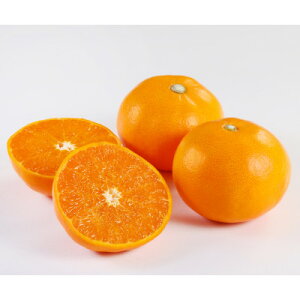 yӂ邳Ɣ[ŁzyƒpzƂ3kgyC21-55zy1682659z