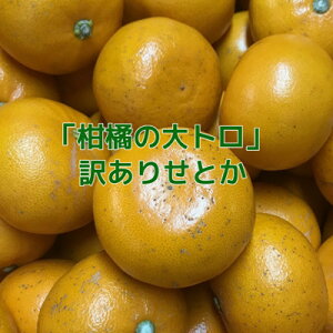 yӂ邳Ɣ[Łzy󂠂zƂ3kgyC21-56zyzsnFzy1682791z