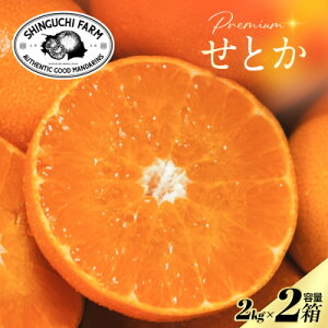 yӂ邳Ɣ[ŁzyʌzVܔ_Ƃɂ߂v~AyƂ2kg×2zk̑gyF70-114zy1683910z