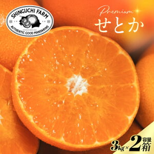 yӂ邳Ɣ[ŁzyʌzVܔ_Ƃɂ߂v~AyƂ3kg×2zk̑gyH70-115zy1683912z