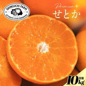 yӂ邳Ɣ[ŁzyʌzVܔ_Ƃɂ߂v~AyƂ10kgzk̑gyH70-116zy1683916z