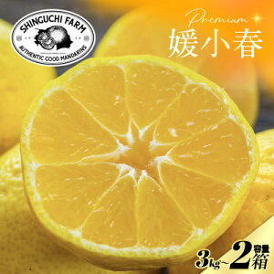 yӂ邳Ɣ[ŁzyʌzVܔ_Ƃɂ߂v~AyQt3kg×2z QViyH70-118zy1683931z