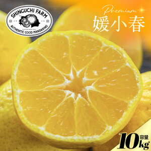 yӂ邳Ɣ[ŁzyʌzVܔ_Ƃɂ߂v~AyQt10kgz QViyH70-119zy1683937z