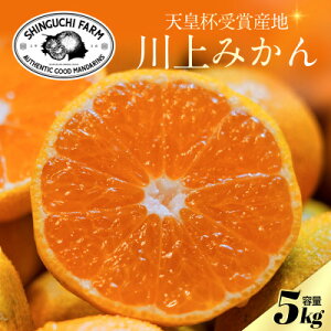 yӂ邳Ɣ[ŁzyVct܎Ynz݂ 5kgyQlszV_IyC70-122zy1683971z