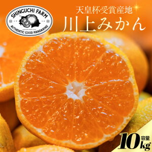 yӂ邳Ɣ[ŁzyVct܎Ynz݂ 10kgyQlszV_IyE70-126zy1684224z