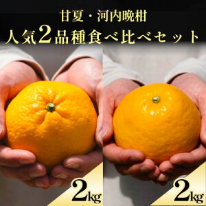 yӂ邳Ɣ[ŁzÉ+͓ӊ QlC2iHהׁye2kgzyD70-134zy1684484z