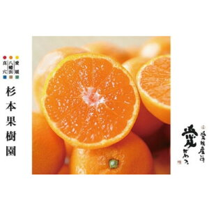 �y�ӂ邳�Ɣ[�Łz�y�ƒ�p�z�^���A�����݂���(�������B)3kg�yA34-37�z�y1692434�z