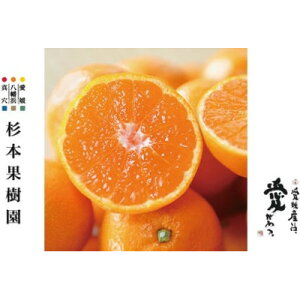 yӂ邳Ɣ[Łzyƒpz^A݂(승20)3kgyA34-39zy1692444z