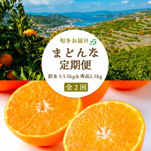 yӂ邳Ɣ[Łzy2TԖցz܂ǂ3.5kg()×܂ǂ2.5kg(G)yG25-264zS2y4071219z