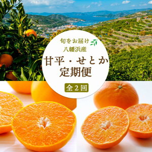 yӂ邳Ɣ[ŁzyŒցzÕ()3kg×Ƃ(G)2kgyH25-268zS2y4071243z