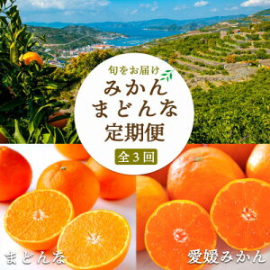 【ふるさと納税】【2週間毎定期便】大玉みかん8kg×まどんな合計6kg 【H25-289】全3回【4071363】