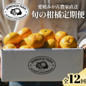 �y�ӂ邳�Ɣ[�Łz�y�������Œ����ցz���Q�t���[�c�{�̉ʕ� �v���~�A�����k�}�� �_�ƒ����yH70-148�z�S12��y4078089�z