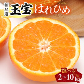 【ふるさと納税】【愛媛名産】玉宝はれひめ 2kg / 4kg / 5kg / 10kg_ みかん はれひめ ハレヒメ 玉宝 極尽道 愛媛のみかん 柑橘 果物 くだもの フルーツ おやつ 美味しい 甘い 爽やか ジューシー おすすめ 愛媛 愛媛県 八幡浜市 人気 送料無料【G1623963】