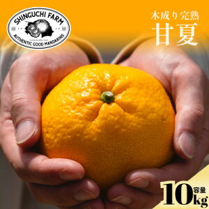 yӂ邳Ɣ[Łzyؐ芮nzÉāwق̂ȋꖡƃXbLÂ݁x 5kg / 10kg_ ݂ ~J É ܂Ȃ ÉĂ݂ k ʕ t[c Ђ Q ls  yG1470662