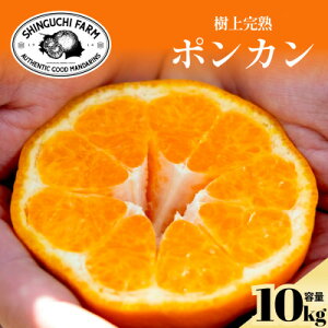 yӂ邳Ɣ[ŁznƕSN Q݂̘V܁y|Jz 3kg / 5kg / 10kg ƒpyV_z_ ݂ ~J  |J ۂ񂩂 ʕ  t[c fU[g  Â 