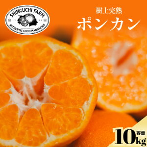 yӂ邳Ɣ[ŁzyÖƎ_̃oX▭z|J @ 3kg / 5kg / 10kg ƒpyV_z_ ݂ ~J  |J ۂ񂩂 ʕ  t[c fU[g  Â 