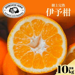 yӂ邳Ɣ[Łzyžb݂MbƋÏkzɗ\@3kg / 5kg / 10kg_ ݂ ~J  ɗ\ 悩 ʕ  t[c fU[g  W[V[ 񂫂 k k 