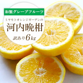 【ふるさと納税】ミヤモトオレンジガーデンの「河内晩柑 6kg」【訳あり】【C25-136】【1151745】