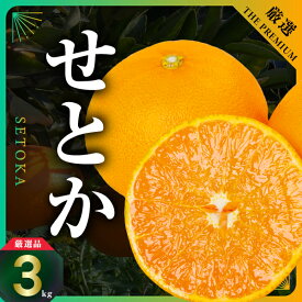 【ふるさと納税】【先行受付】三代目の柑橘の大トロ【せとか】2kg/3kg/4kg_ せとか 柑橘 フルーツ 果物 くだもの みかん 人気 おすすめ 送料無料 愛媛県 八幡浜 濃厚 甘い 【配送不可地域：離島】【G1071620】 YWTAC004