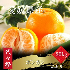 【ふるさと納税】【濃厚な甘さ】【訳あり】ポンカン 20kg【H83-25】_【1557489】 YWTW025