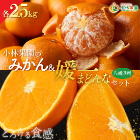 【ふるさと納税】【先行受付】小林果園のみかん&媛一まどんなセット(各約2.5kg入)【C24-17】YWTAD010