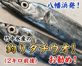 【ふるさと納税】竹中水産の「釣の太刀魚」　約2キロ!【F22-264】_ 太刀魚 たちうお 天然 魚介 魚介類 海鮮 冷蔵 愛媛 八幡浜 産直 産地直送 国産 おかず おつまみ 鮮魚 希少 刺身 釣 【配送不可地域：離島・北海道・沖縄県】【1078740】YWTM082