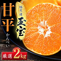 楽天市場】甘平 10キロの通販