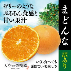 yӂ邳Ɣ[Łzy󂠂zV̉ʎ͂ ܂ǂ(5kg)yD45-33zy1339406z