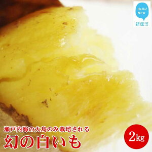 yӂ邳Ɣ[Łzys\zyʌz Vl哇Y ̂܂ wx 2kg   