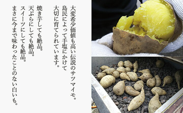 楽天市場 ふるさと納税 先行予約 新居浜大島産 幻のさつまいも 白いも ３kg 愛媛県新居浜市