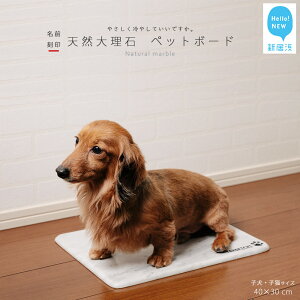 yӂ邳Ɣ[ŁzЂ VR嗝 ybg{[h 1i40x30cm) q E qL TCY y  z ybg ΐEl  ̈i ΍ 