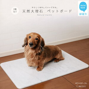yӂ邳Ɣ[ŁzЂ VR嗝 ybg{[h 2 Zbgi40x60cmj^L E ^ TCY ybg ΐEl  ̈i ΍ 