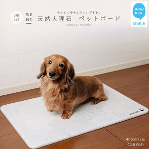 yӂ邳Ɣ[ŁzЂ VR嗝 ybg{[h 2 Zbgi40x60cmj^L E ^ TCYy  z ybg ΐEl  ̈i ΍ 