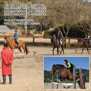 【ふるさと納税】初心者向けビジター乗馬体験エヒメ乗馬クラブ(小学生以上1名30分+引き馬1周)